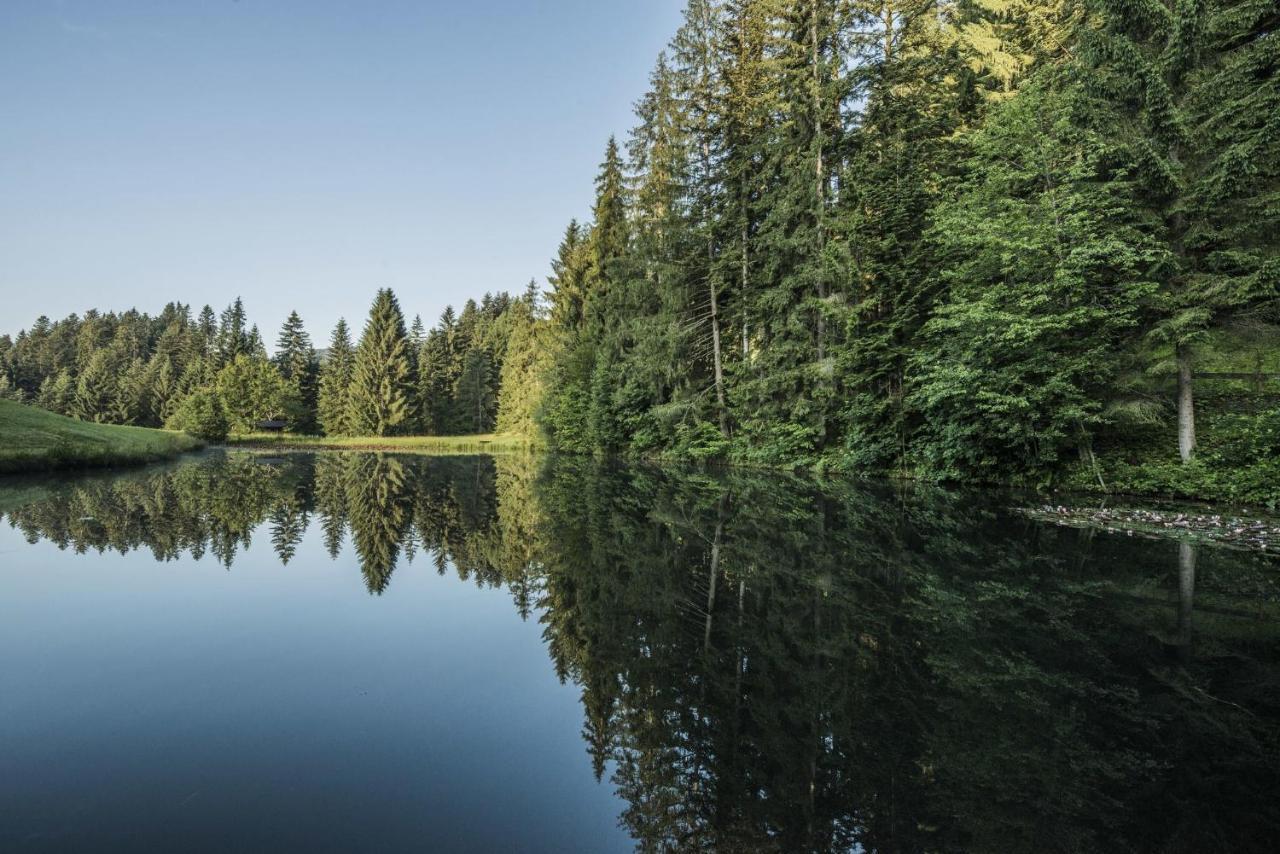 Ferienwohnung Waldglueck Reith bei Kitzbühel エクステリア 写真